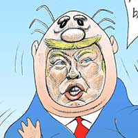 Mostrar el cartón