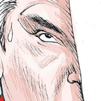 Mostrar el cartón