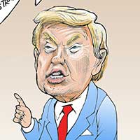 Mostrar el cartón