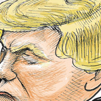 Mostrar el cartón
