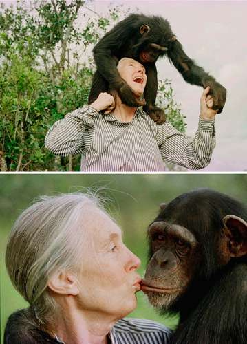 Falleció la primatóloga Jane Goodall