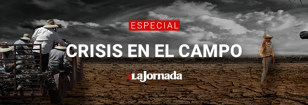 Crisis en el campo
