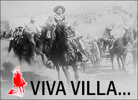 Viva Villa