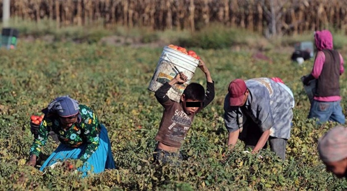 Menor trabajando en un campo en imagen de archivo. Foto Ignacio Juárez 