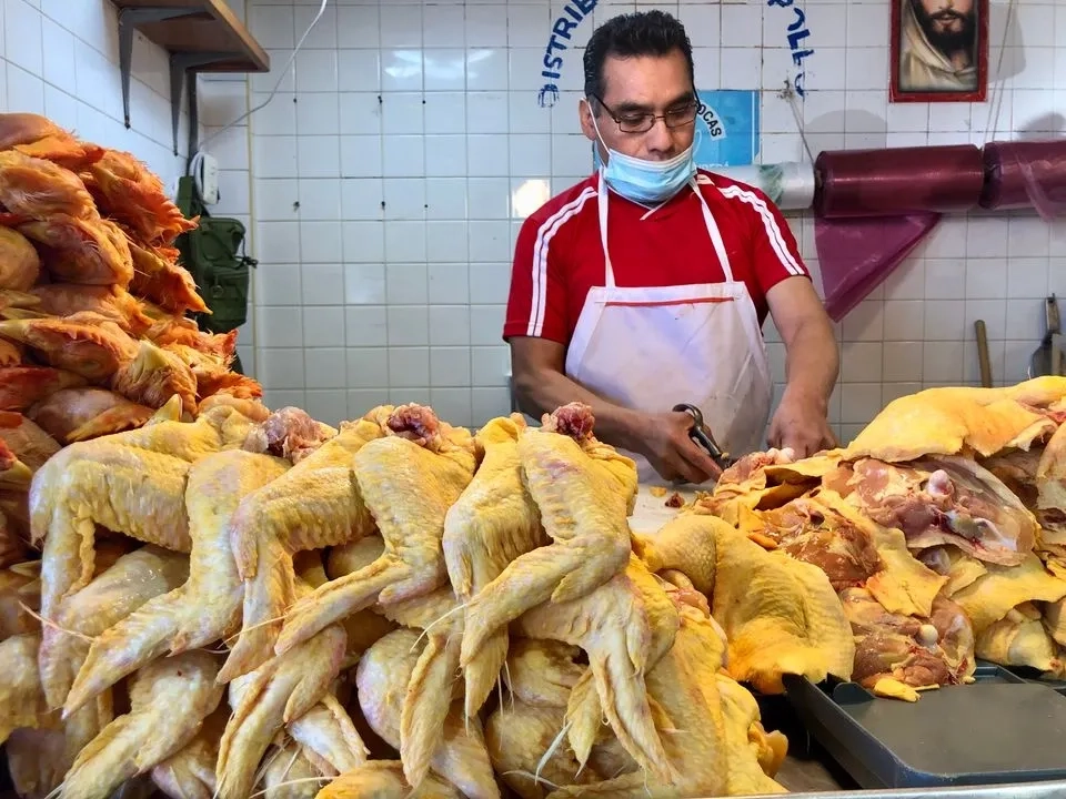 México produce gran parte del pollo que consume; sin embargo, para cubrir la demanda nacional depende de importaciones de piezas específicas, como pechuga y piernas. Imagen de archivo. Foto
