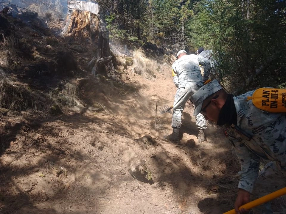 Personal de Defensa, Guardia Nacional, Protección Civil y CONAFOR combaten las llamas en el Cofre del Perote. Foto 