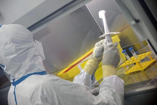 Nueve vacunas experimentales están en proceso de estudio como parte de la incitativa mundial de vacunas Covax, dirigida por la organización. Foto Afp / Archivo