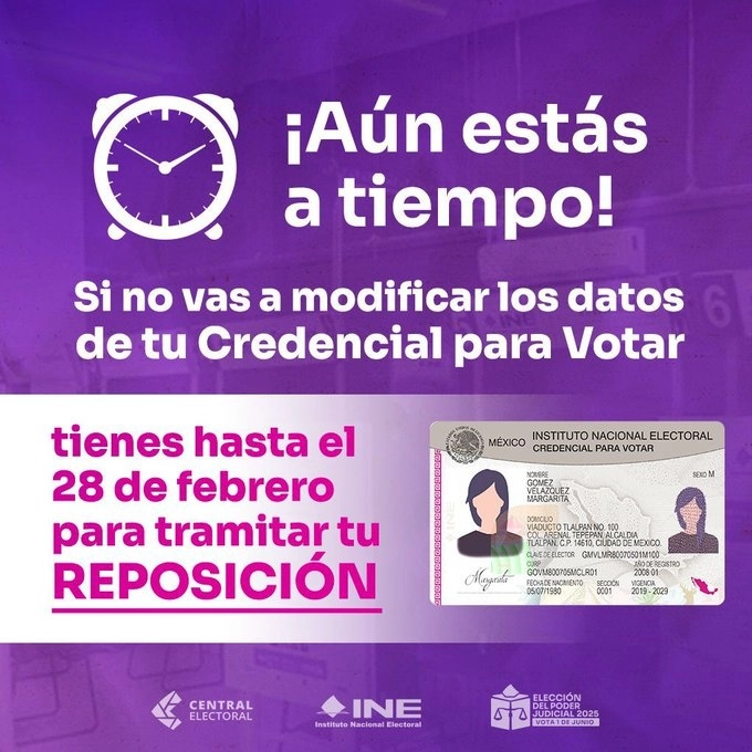 Infografía difundida en las redes sociales del INE.