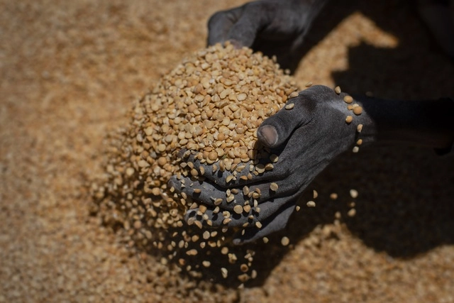 Los precios mundiales de los alimentos subieron en mayo a sus niveles más altos en una década. Foto Ap