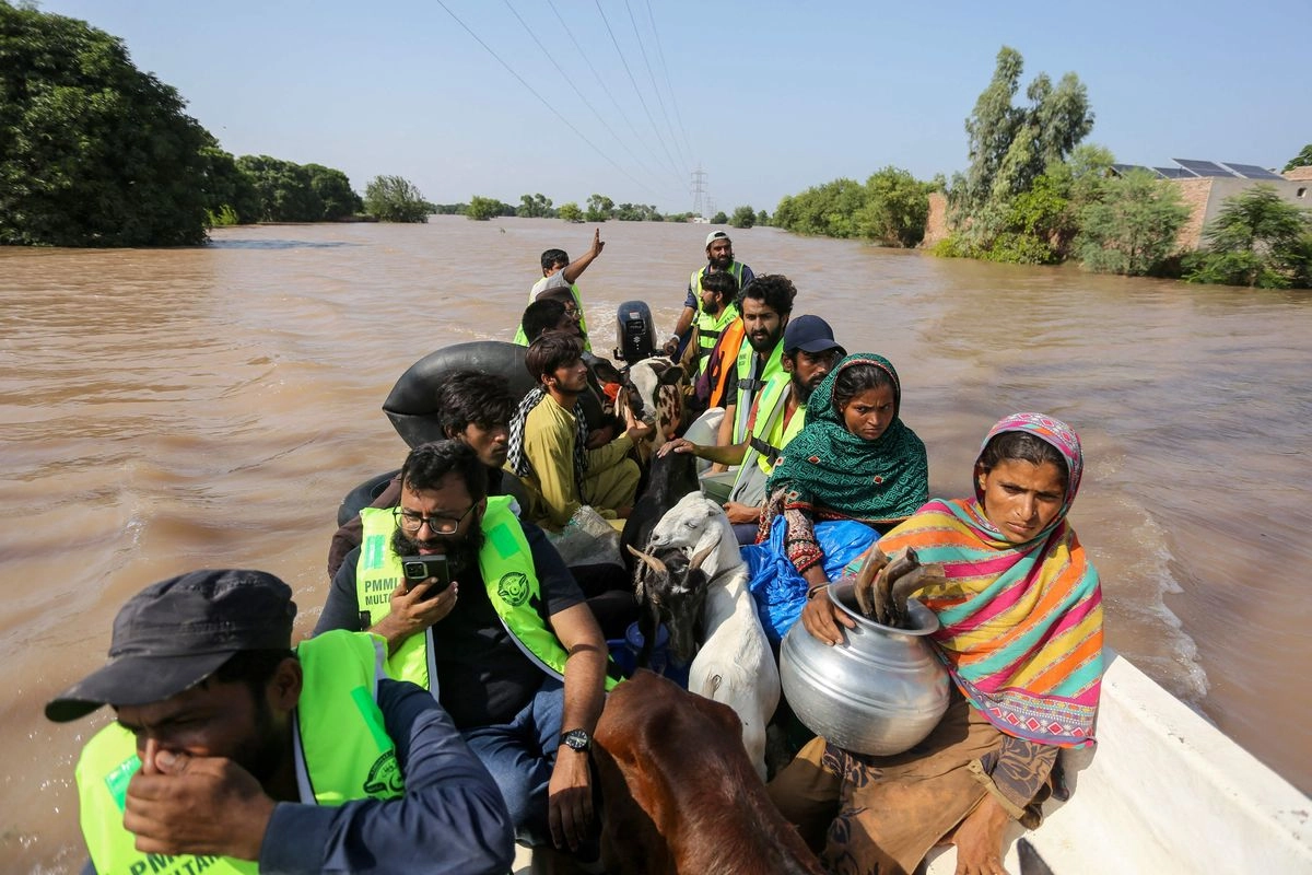 Rescatistas auxilian a personas y animales atrapados en la ciudad de Muzaffargarh, en Pakistán, el 4 de septiembre de 2025. Foto 