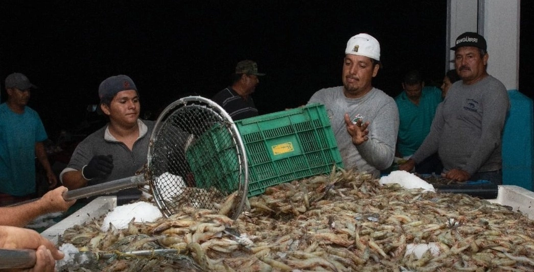 Pescadores de camarón en imagen de archivo. Foto tomada de la cuenta de Twitter @Agricultura_mex
