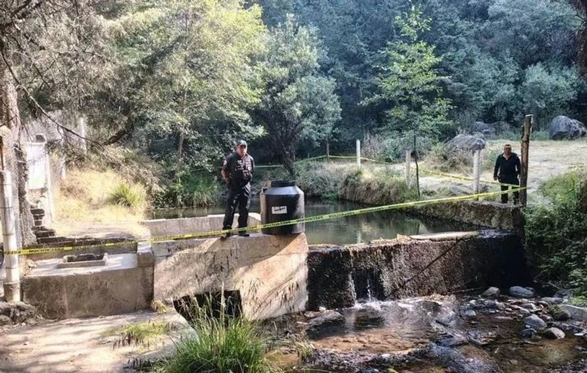 Hasta el momento, se desconoce la identidad de las víctimas, las causas de muerte, y el motivo del por qué fueron privados de la vida. Foto 