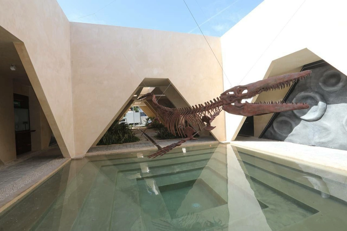 El Museo del Meteorito ofrece a los asistentes experiencias a través de mappings y realidad aumentada, así como figuras con sonido y movimientos robóticos de especies de dinosaurios como tiranosaurios, espinosaurios, dilofosaurio, triceraptor y triceratops. Foto Luis Boffil