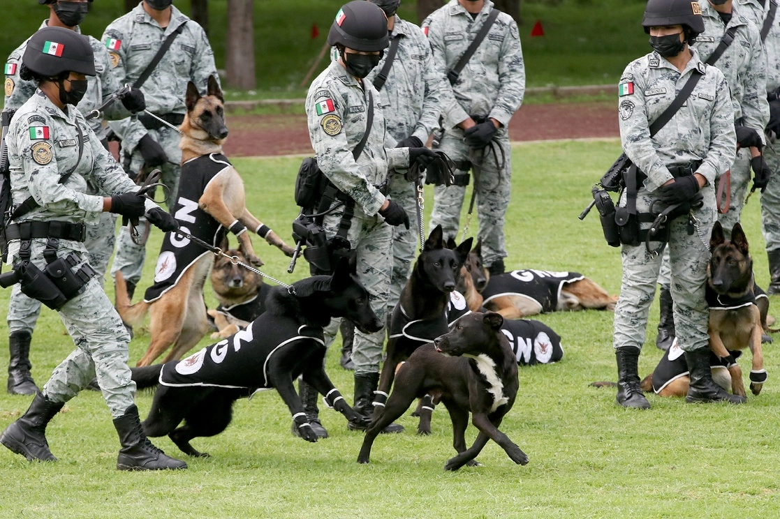 Binomios caninos de la Guardia Nacional. Foto José Antonio López