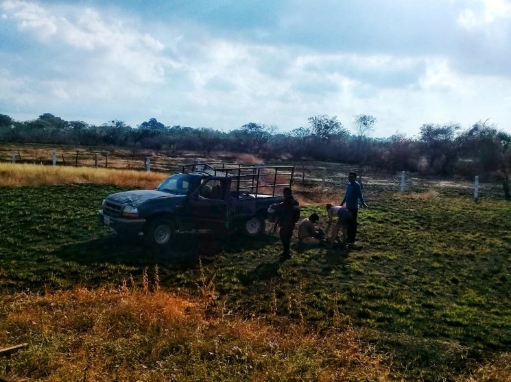 El accidente que dejó 26 lesionados en Oaxaca se debió al exceso de velocidad. Foto La Jornada