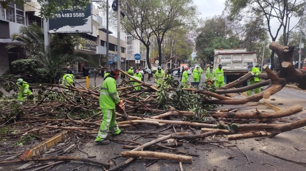 Los fuertes vientos provocaron ayer la caída de un árbol de 15 metros de longitud sobre una calle en la alcaldía Álvaro Obregón, Foto tomada de Twitter @SGIRPC_CDMX
