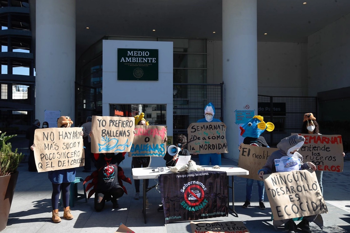 Ambientalistas que impulsan la iniciativa “Sobornemos Semarnat”, se manifestaron hoy frente a la dependencia federal para exigir se frenen proyectos sobre la construcción de muelles en Cozumel, Quintana Roo, y La Paz, Baja California Sur. Foto Cristina Rodríguez