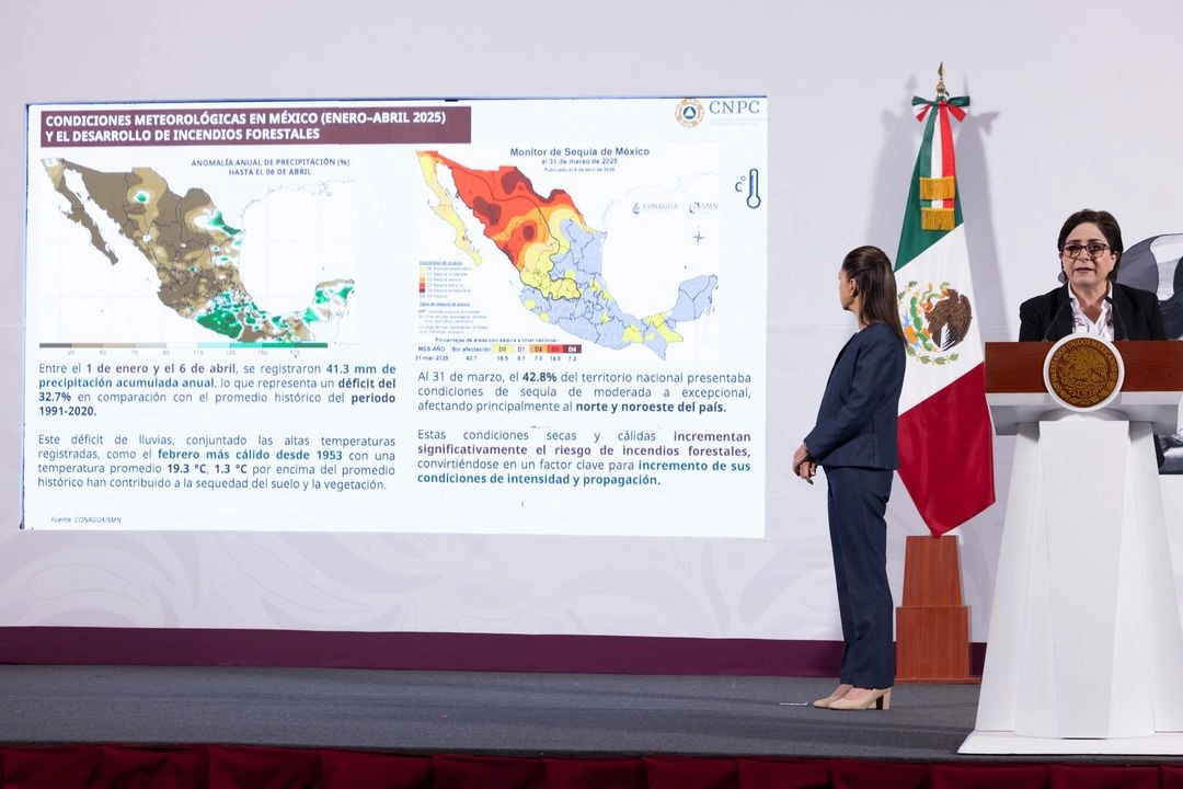 Hasta anoche, se reportaban en el país 114 incendios forestales activos en 23 entidades del país, ninguno representa por el momento riesgo para la población, informó la titular de la Coordinación Nacional de Protección Civil, Laura Velázquez.

