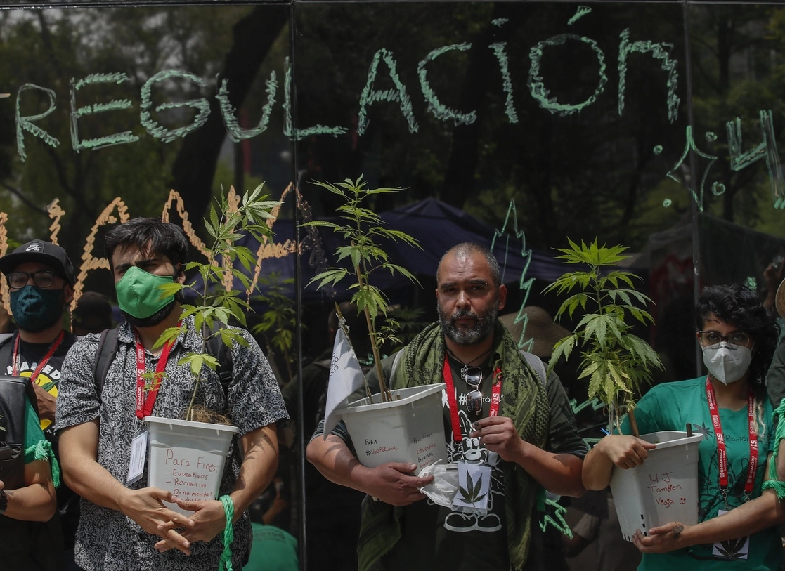 Activistas en favor de la legalización de la mariguana, en la Ciudad de México. Foto Víctor Camacho / Archivo