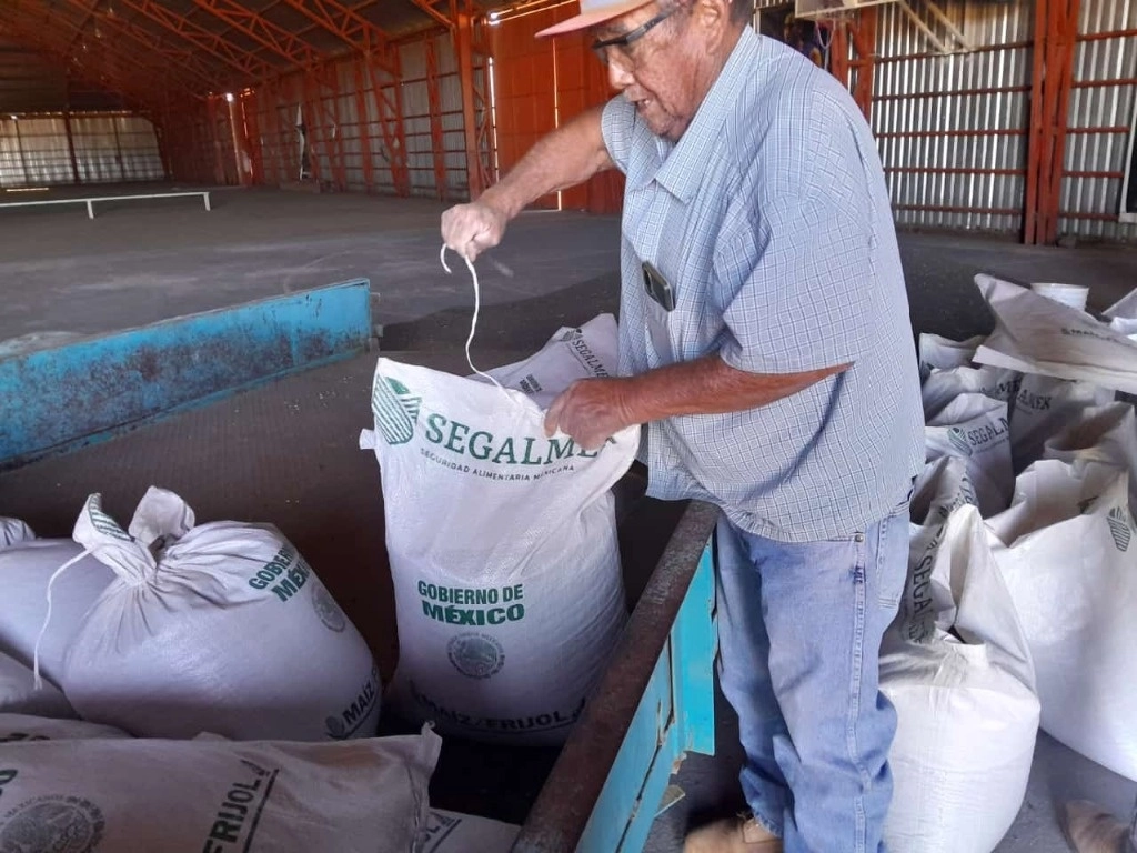 Acopio de frijol por Segalmex en el municipio de Cuencamé, Durango. Foto Saúl Maldonado, corresponsal