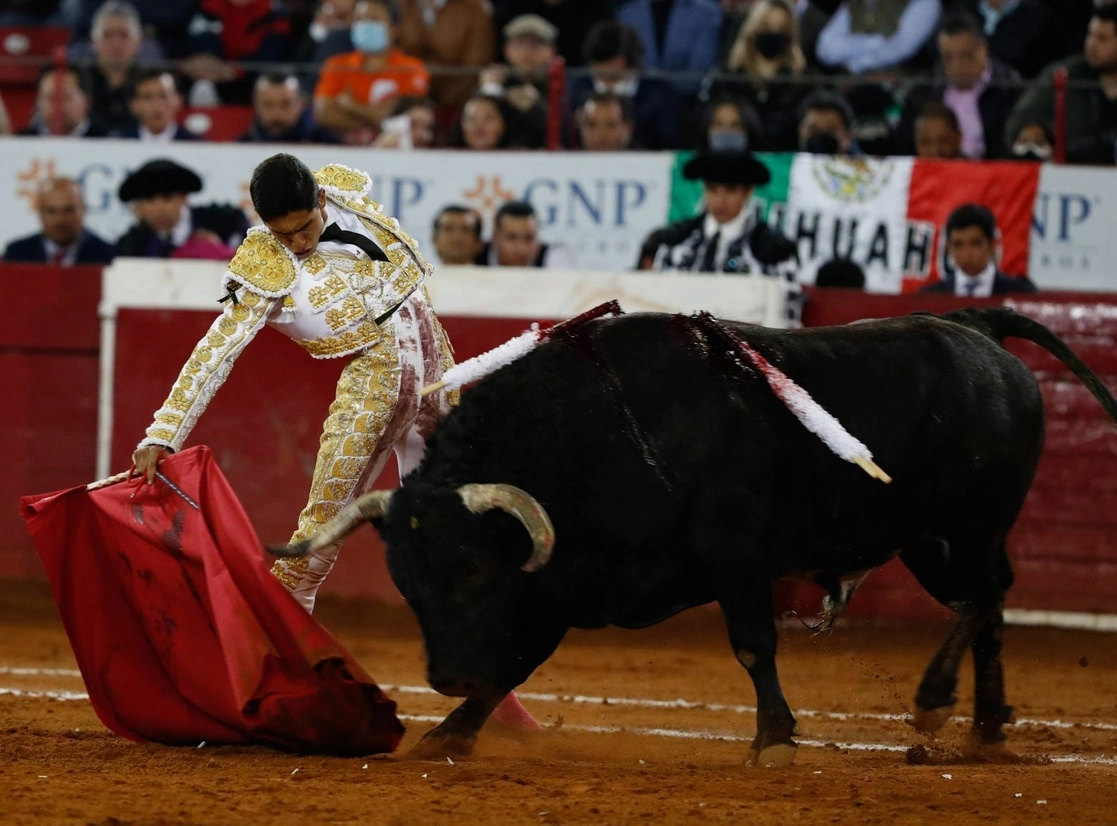 Héctor Gutiérrez durante una corrida en la Plaza de Toros México, en la alcaldía Benito Juárez. Foto Cuartoscuro / Archivo