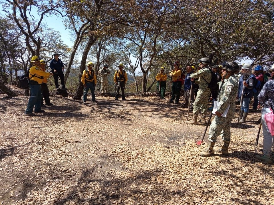 La Conafor detalló en su reporte diario que 9 mil 742 hectáreas es la superficie preliminar donde se encuentran los incendios activos, mientras que la extensión total preliminar afectada es de 11 mil 68 hectáreas.