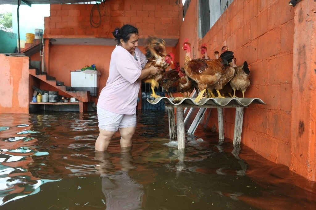 La vivienda de una mujer resultó afectada por las inundaciones en Tabasco. Foto Cuartoscuro