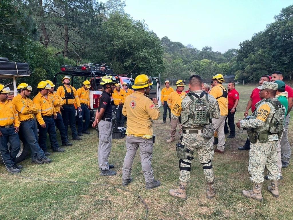Brigadistas de diferentes corporaciones trabajan en los sitios afectados por los incendios forestales en NL. Foto La Jornada 