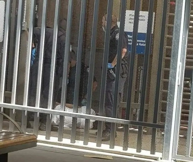 Un hombre murió por disparos hechos por agentes de la Patrulla Fronteriza de EU, en las instalaciones del puerto fronterizo de Calexico. Foto La Jornada