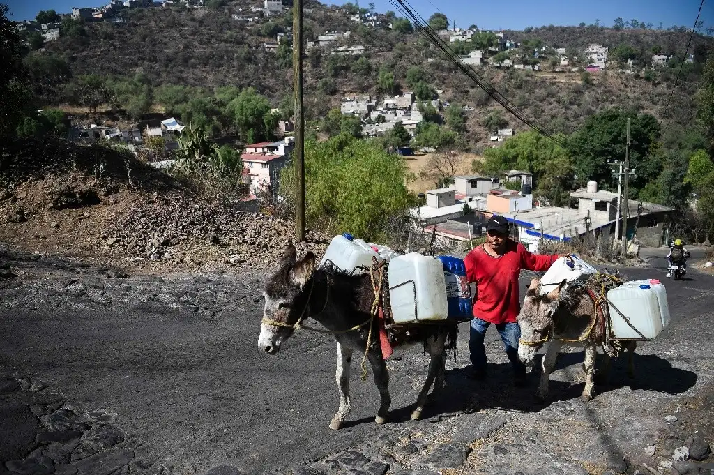 Un colono de Santa Cruz Acalpixca, alcaldía Xochimilco, utiliza sus burros para abastecerse del líquido. En el Centro Histórico, empresarios contratan el servicio de pipas para llenar los depósitos en hoteles y restaurantes. Foto Afp