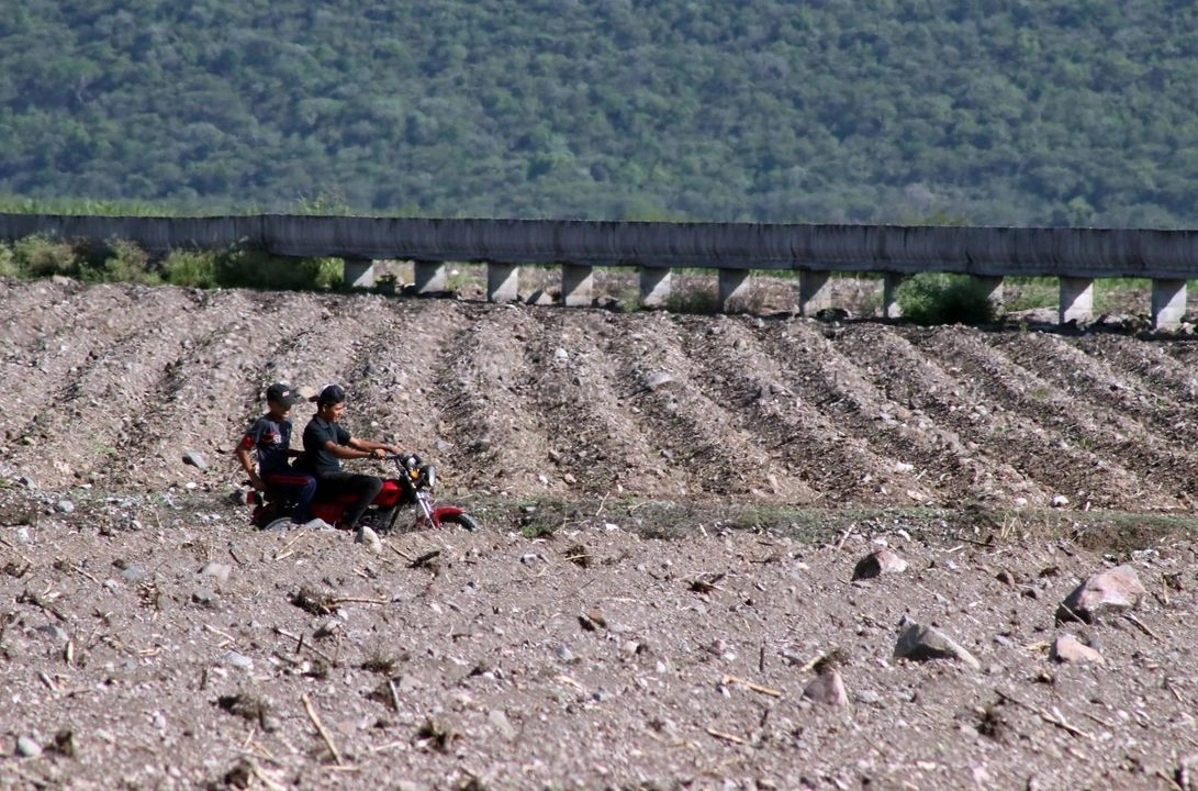 La paulatina extinción del agro hidalguense es resultado del alto costo de insumos y maquinaria, falta de agua y de la pequeña pertenencia de tierra que tienen los productores. Foto 