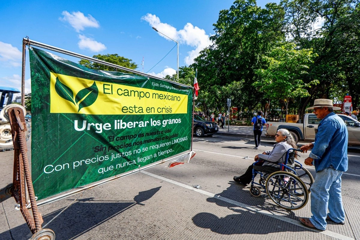 Productores de maíz y trigo de Sinaloa amenazaron con realizar bloqueos en las aduanas del país para presionar por una reunión con autoridades de la Sader. Foto   