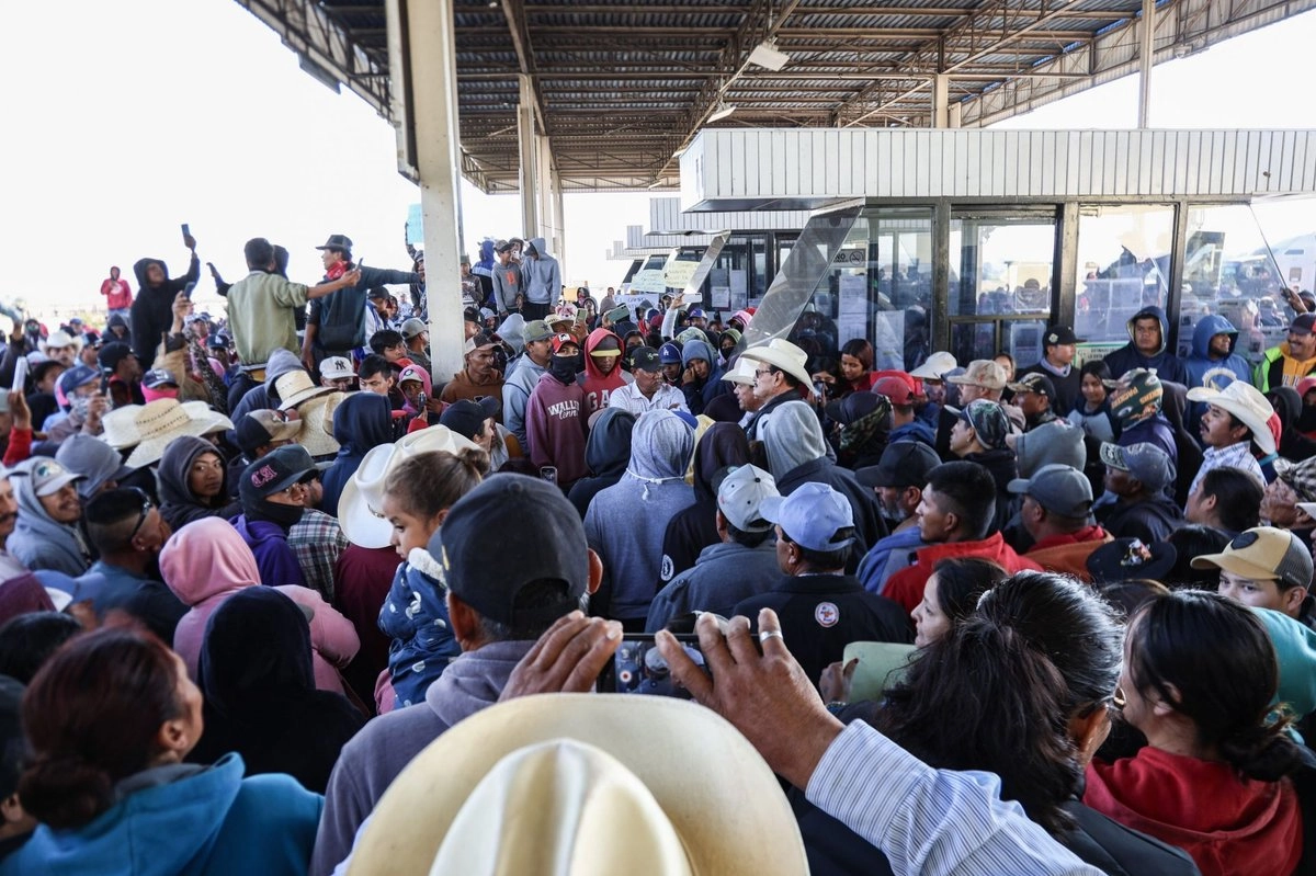  Los productores agrícolas arribaron en sus camionetas provenientes principalmente de los cañones de Jalpa y Tlaltenango, así como de los municipios de Fresnillo, Calera, Loreto, Río Grande, Villa de Cos, Morelos, Enrique Estrada, Guadalupe, Ojocaliente y Luis Moya, a la sede de la Sader en Zacatecas.