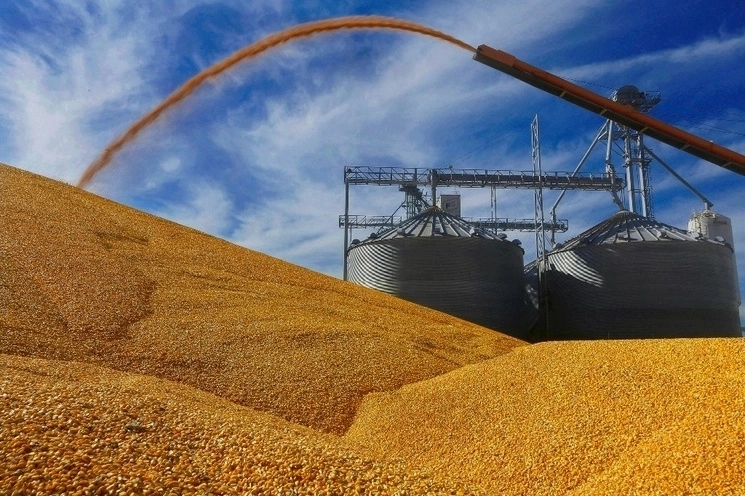 Depósito de maíz amarillo en Illinois, Estados Unidos. Foto Ap / Archivo
