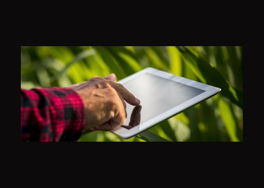 El Fideicomiso de Inversión en Bienes Raíces podría protagonizar la primera oferta del año en el mercado de Fibras nacional, pues planea realizarla el próximo 23 de marzo, por un monto de hasta 6 mil 37 mdp. Imagen tomada de @AgroFibra