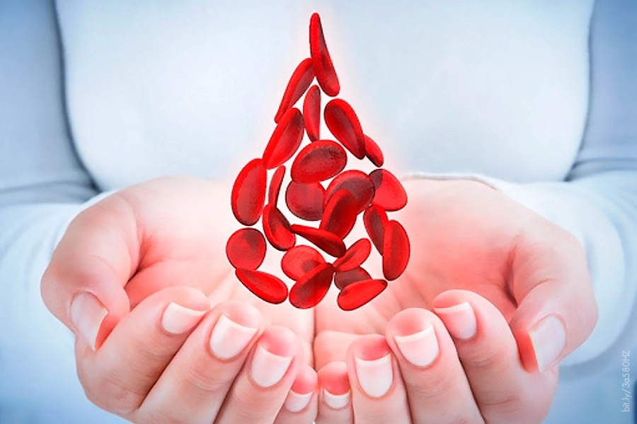 La hemofilia es una condición hereditaria que se transfiere principalmente de las madres a los hijos varones. Se presenta en varios tipos dependiendo de la proteína que les haga falta para coagular correctamente. Foto tomada del sitio de https://www.gaceta.unam.mx / Archivo