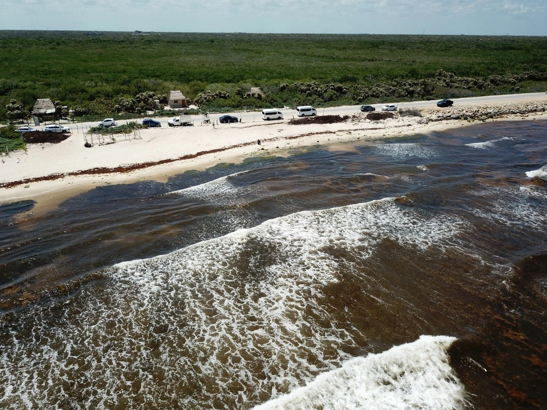 La playa de Punta Piedra, en Cancún, Quintana Roo, se encuentra cubierta de sargazo. Rosa Rodríguez, investigadora de la Universidad Nacional Autónoma de México, prevé que en mayo se superará la acumulación de algas registrada en 2018. La imagen, del 3 de mayo de 2022. Foto Cuartoscuro 