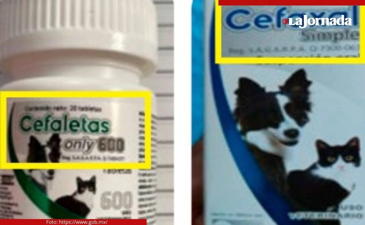 El Servicio Nacional de Sanidad, Inocuidad y Calidad Agroalimentaria (Senasica) emitió una alerta sanitaria por la venta irregular de Cefaletas 400, Cefaletas only 200, Cefaletas only 600 y Cefaxal simple. Foto 
