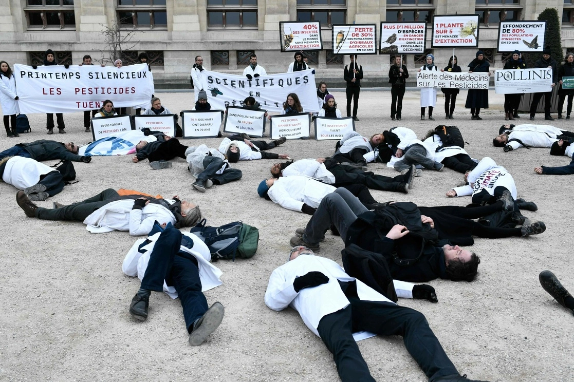Un centenar de personas formaron un cortejo fúnebre en París para denunciar "las consecuencias catastróficas del uso de los plaguicidas" en los insectos y para promover "otro modelo agrícola". Foto Afp