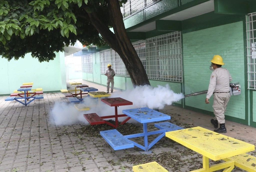 Autoridades toman medidas preventivas para evitar la proliferación del mosquito transmisor de dengue. Foto Cuartoscuro