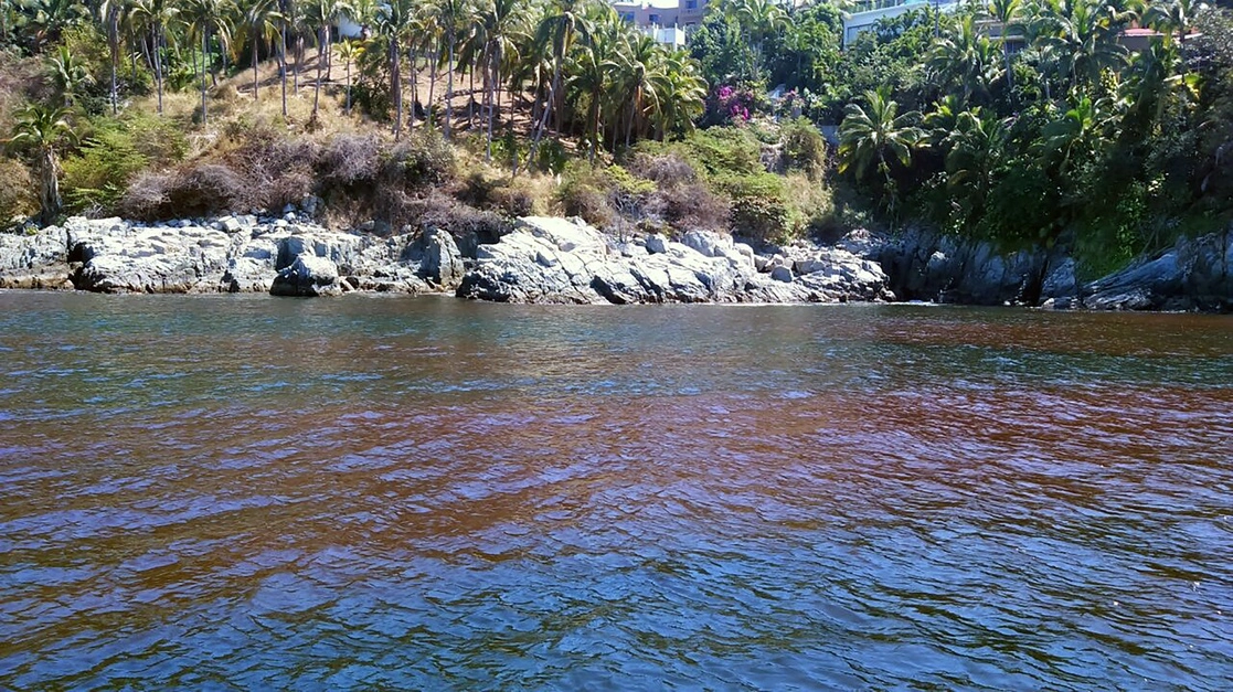 Autoridades alertaron sobre la presencia de marea roja en las principales playas de Manzanillo, Colima. Foto cortesía Coespris