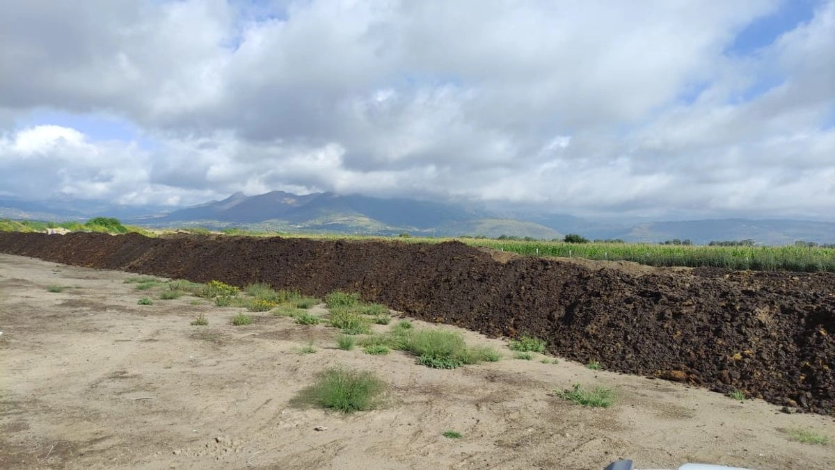 La empresa Granjas Carroll deposita desechos de sus operaciones porcinas, como heces, pezuñas, piel, vísceras y pelo de cerdo, que representan un riesgo ambiental y para la salud si se liberan sin tratamiento.