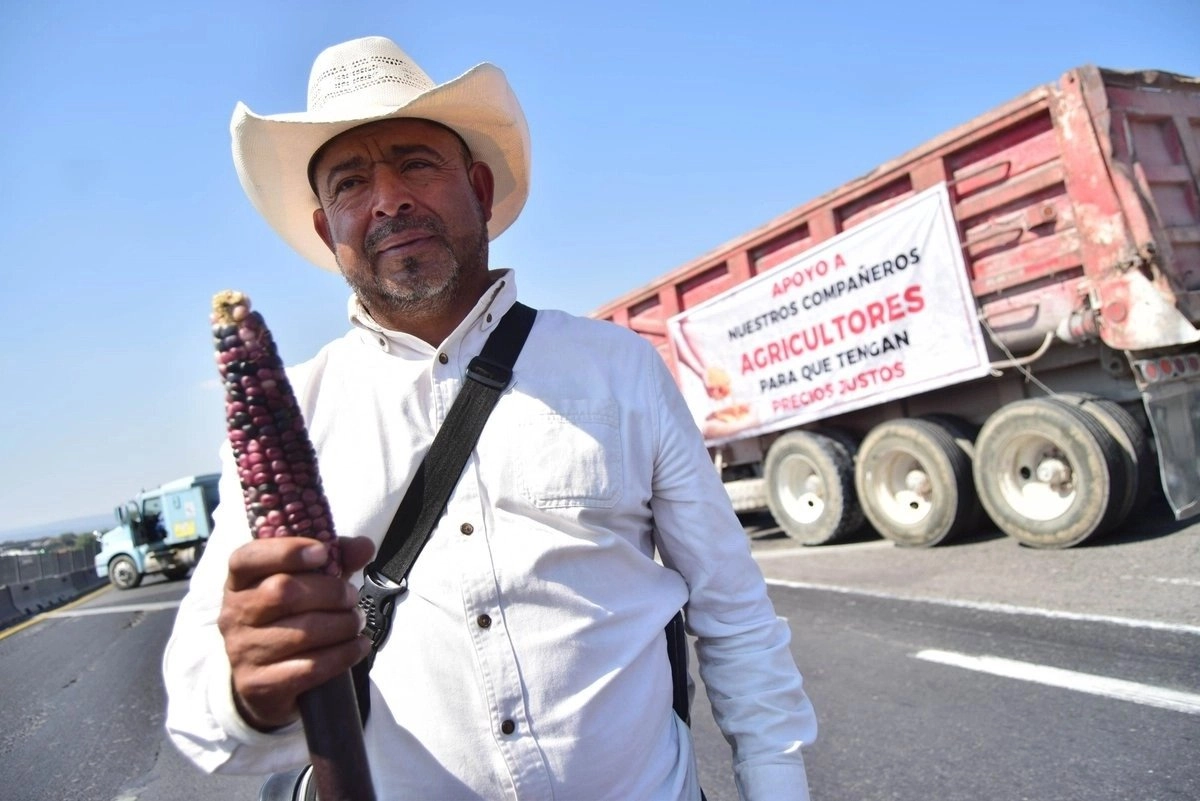 Desde mediados de octubre, las movilizaciones campesinas han vuelto a expresarse en distintos estados y regiones del país. Foto