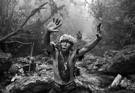El brasileño Sebastião Salgado, fotógrafo de lo imposible, estrenó ayer la etapa italiana del ‘tour’ mundial de su exposición de 200 fotografías del gran pulmón de la Tierra, actualmente en peligro por la injerencia humana. Foto Sebastião Salgado / Contrasto