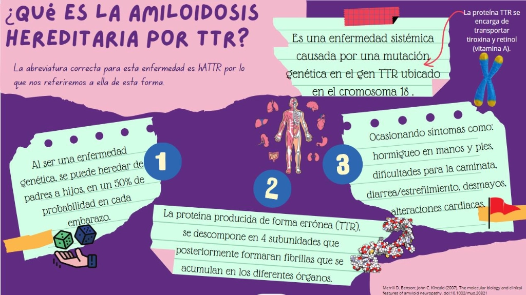 Monografía que explica síntomas de la amiloidosis hereditaria TTR, difundida en https://www.facebook.com/profile.php?id=61560073284511