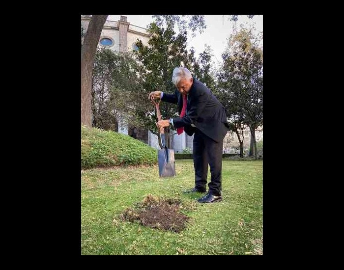 "Siempre me ha gustado sembrar, más cuando se trata de todo un desafío: plantar una ceiba tropical en el jardín del Palacio Nacional. Ojalá y se logre", publicó en su cuenta de Twitter (@lopezobrador_) el presidente Andrés Manuel López Obrador