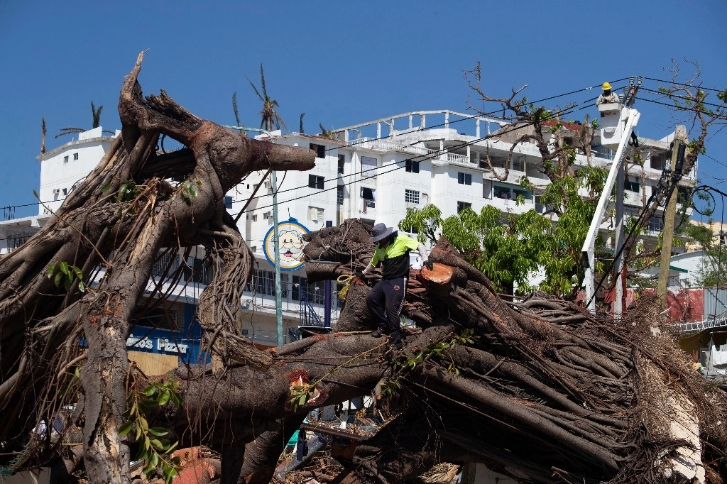Continúan los trabajos de limpia y mantenimiento en el puerto de Acapulco luego de dos semanas del paso del huracán 'Otis'. En la imagen, levantamiento de escombros en el puerto. Foto Alfredo Domíguez 