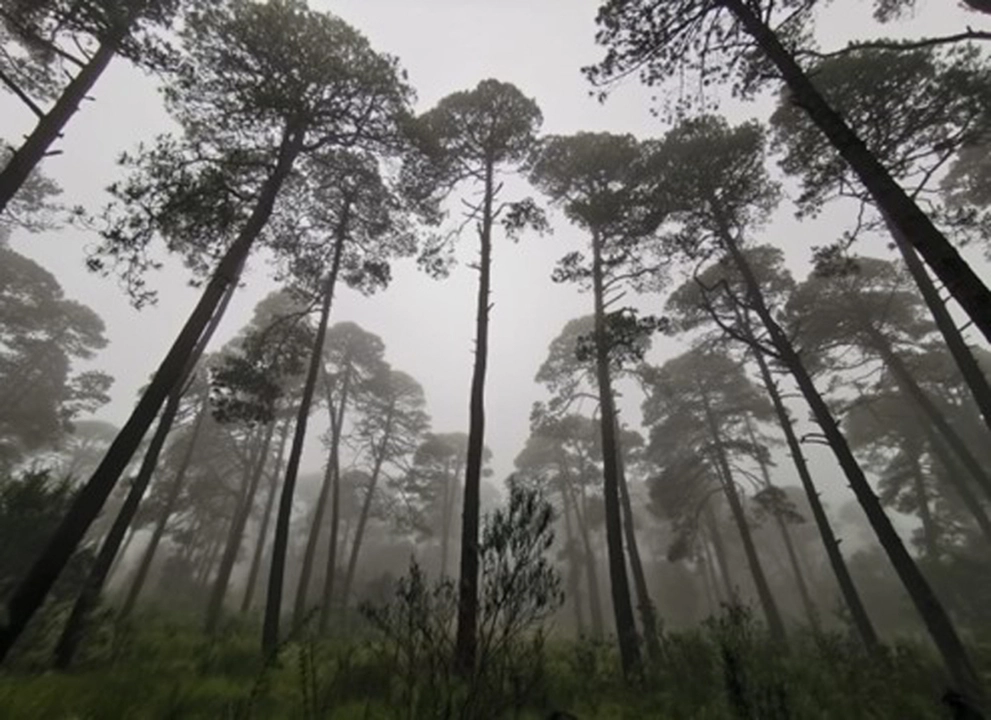 Urgen a repensar el sistema actual para la conservación de las áreas naturales. Foto 