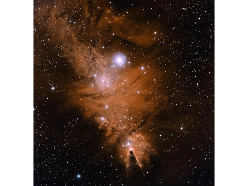 Cúmulo Árbol Navideño en la constelación de Monoceros. Forma parte de la nebulosa de emisión NGC2264. Foto cortesía de Enrique Vázquez Semadeni 



