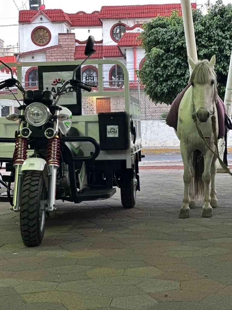 Caballo, mulas y burros serán canjeados por motocicletas para recolectar basura en La Paz, Edomex; los animales serán enviados a santuarios. Foto Cortesía Fundación Seres Libres

